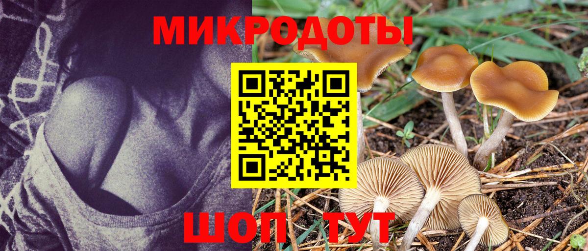Галлюциногенные грибы Magic Shrooms Волгодонск
