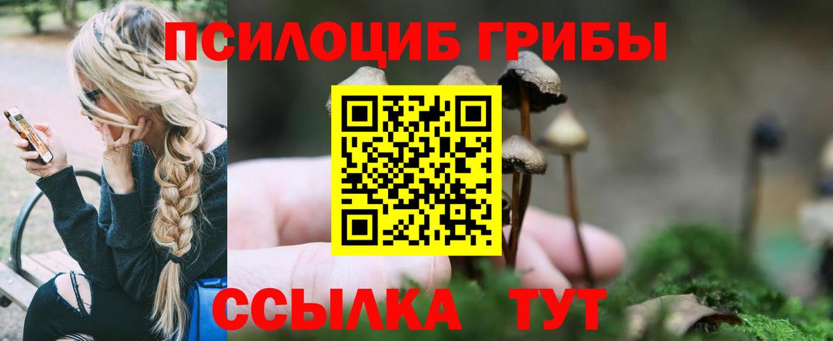 Псилоцибиновые грибы ЛСД  Вход с VPN  Волгодонск 
